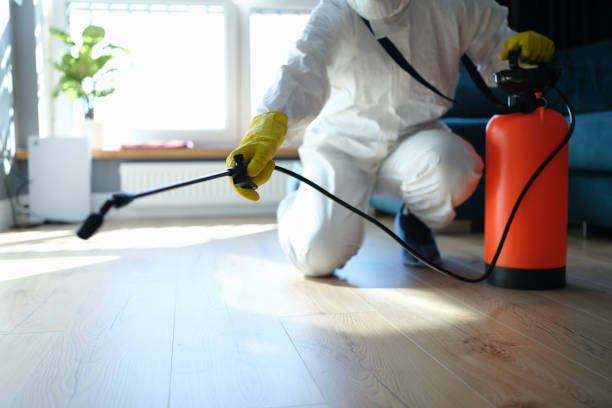 Reliable Biohazard contractor in Mountain View, HI by Dulley Family Biohazard Services